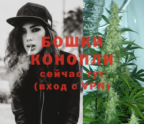 спиды Михайлов