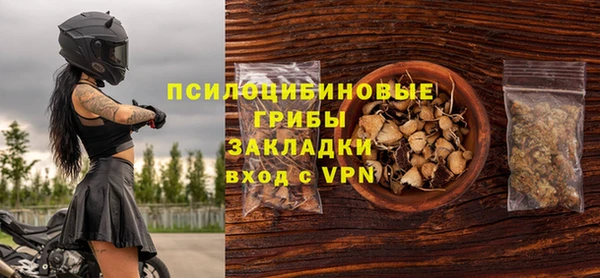 спиды Михайлов