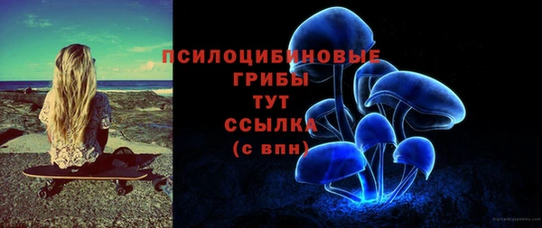 спиды Михайлов